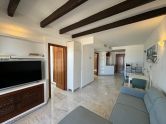 apartments torrevieja