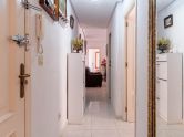 apartments torrevieja