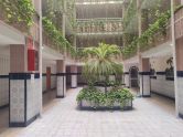 Penthouse Torrevieja