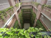 Penthouse Torrevieja