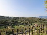 Farma Benissa Alicante