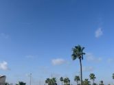 Bungalov Orihuela-costa