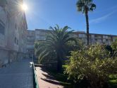 apartments torrevieja 