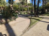 apartments torrevieja 
