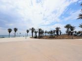 Apartamento Torrevieja Alicante
