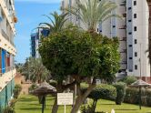 Apartamento Torrevieja Alicante