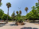 Spacious Ground Floor Apartment in Torrevieja - Unique Opportunity