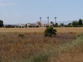Plot San Fulgencio Alicante