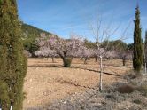 Country House Bullas Murcia