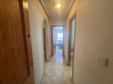 Apartamento Torrevieja Alicante
