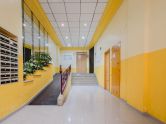 Apartamento Torrevieja Alicante