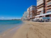 Apartamento Torrevieja Alicante