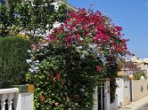 Bungalow Orihuela Costa Alicante