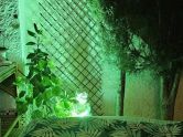 Bungalow Orihuela Costa Alicante
