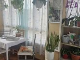 Apartment Torrevieja Alicante