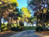 Vila Dehesa de campoamor ALICANTE