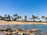 Bungalov Torrevieja Alicante