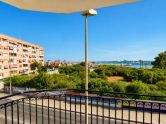 Apartment Torrevieja Alicante