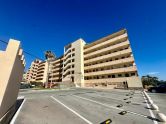 Apartment Torrevieja ALICANTE