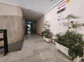 Apartmán / byt Torrevieja Alicante (Costa Blanca)