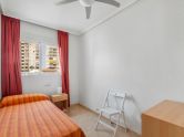 Impeccable two-bedroom apartment with pool and garage included in Nueva Torrevieja