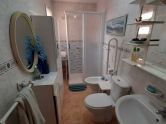 Apartamento Torrevieja Alicante