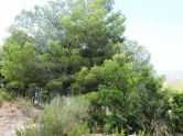 Pozemek Altea Alicante