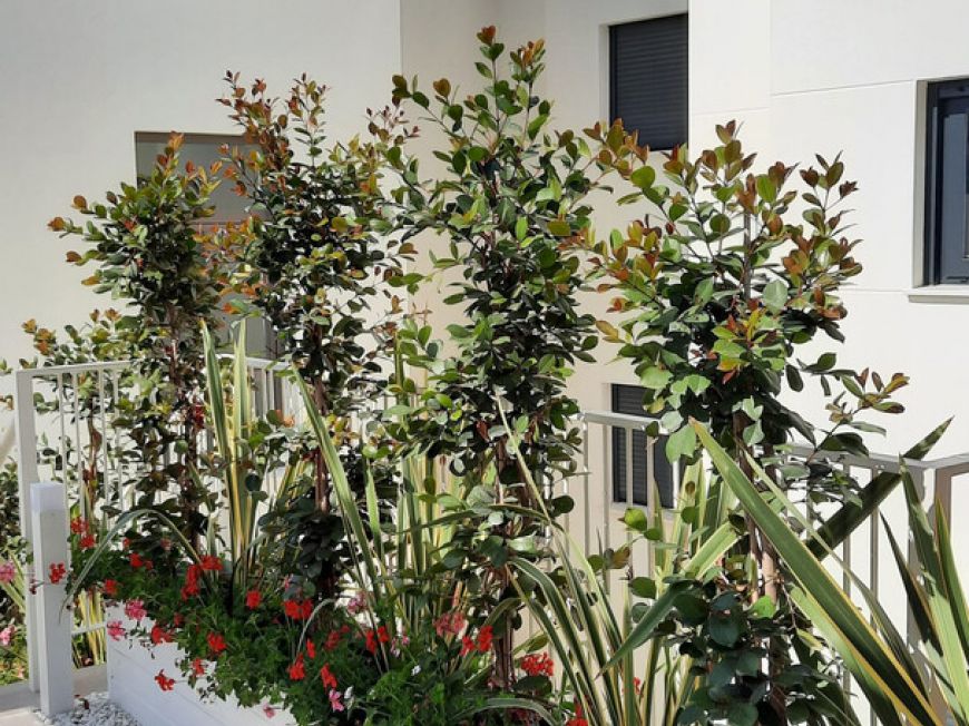 Španělsko Apartmány / byty Costa-del-sol