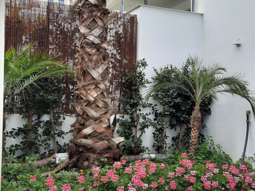 Španělsko Apartmány / byty Costa-del-sol