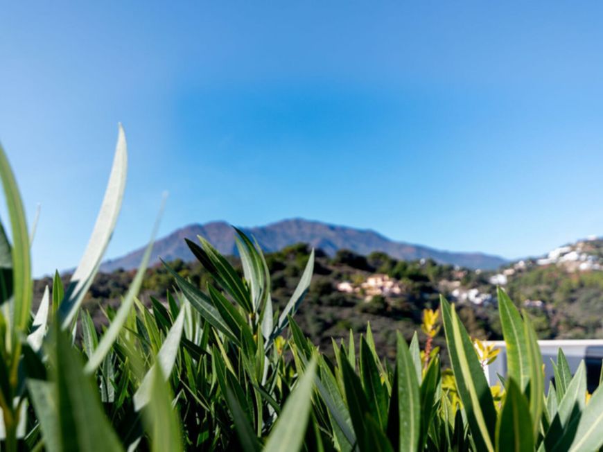 Španělsko Apartmány / byty Costa-del-sol