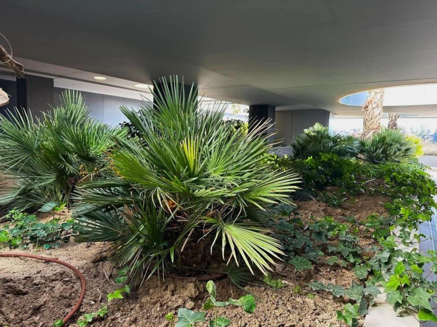 Španělsko Apartmány / byty Madrid