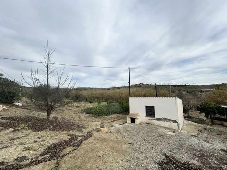 Španělsko Rustikální farma Coin