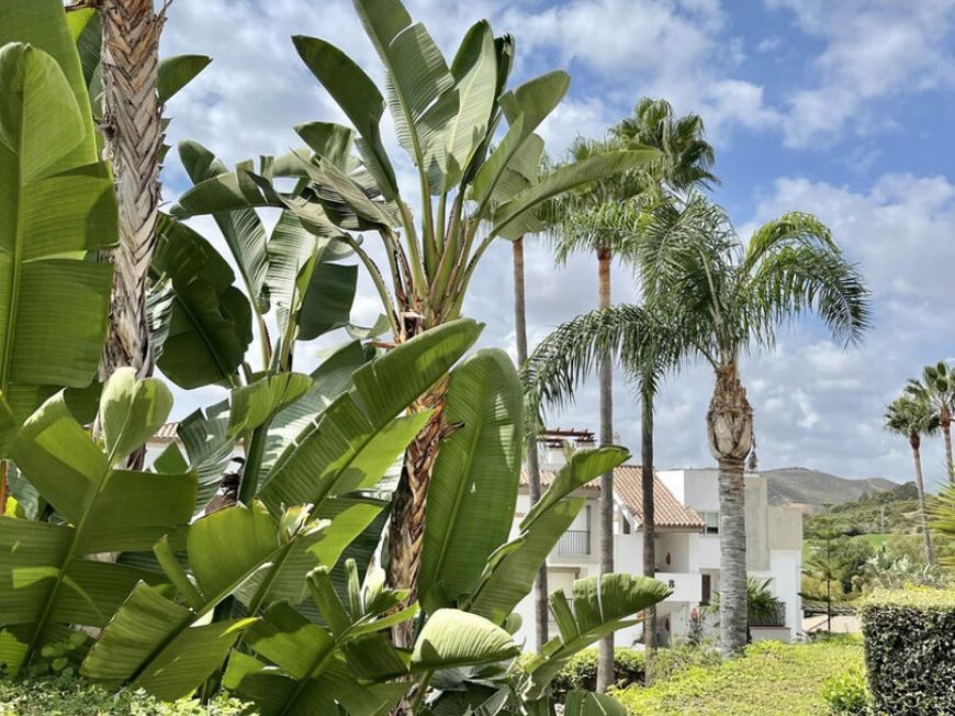 Španělsko Apartmány / byty Benahavis