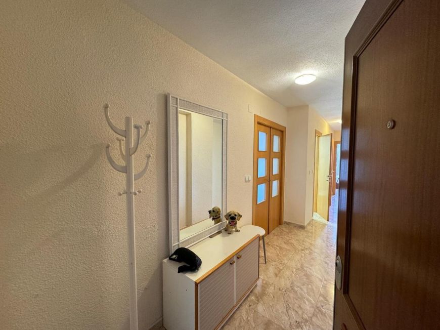 Španělsko Apartmány / byty Torrevieja