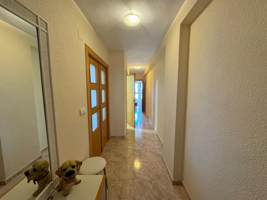 Španělsko Apartmány / byty Torrevieja