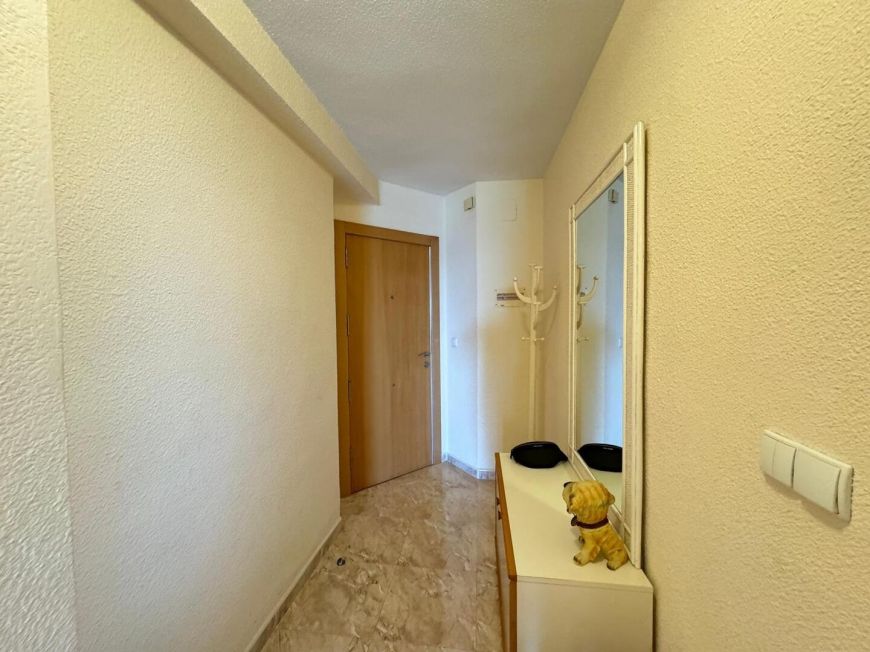 Španělsko Apartmány / byty Torrevieja
