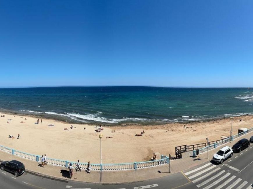 Španělsko Apartmány / byty Torrevieja