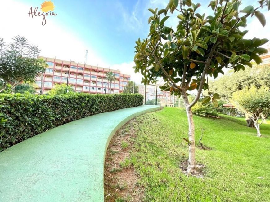 Španělsko Penthouse Torrevieja