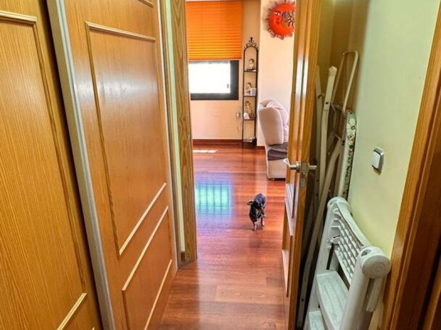 Španělsko Apartmány / byty Torrevieja