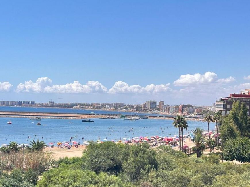 Španělsko Apartmány / byty Torrevieja
