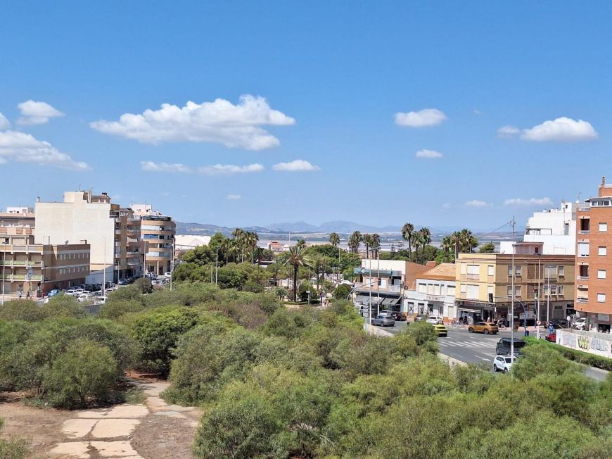 Španělsko Apartmány / byty Torrevieja