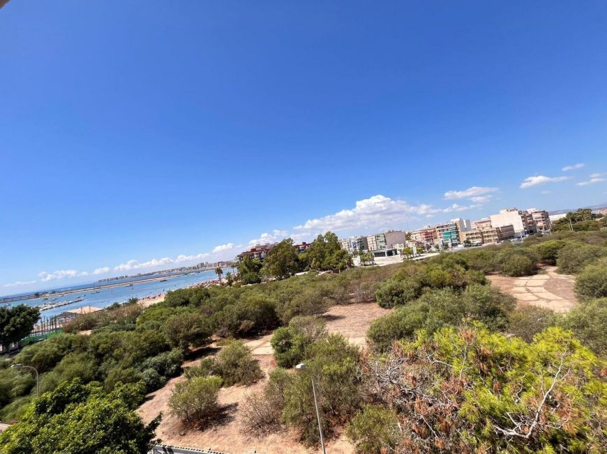 Španělsko Apartmány / byty Torrevieja