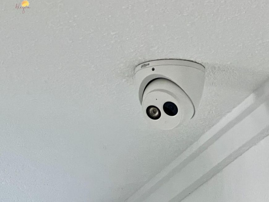 Španělsko Apartmány / byty Torrevieja