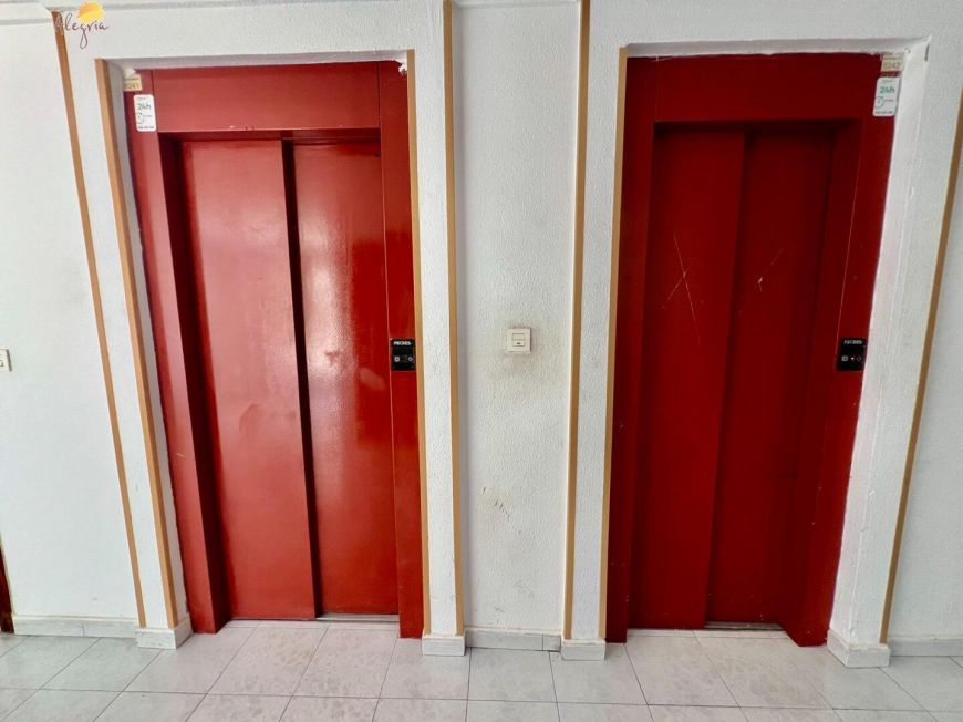 Španělsko Apartmány / byty Torrevieja