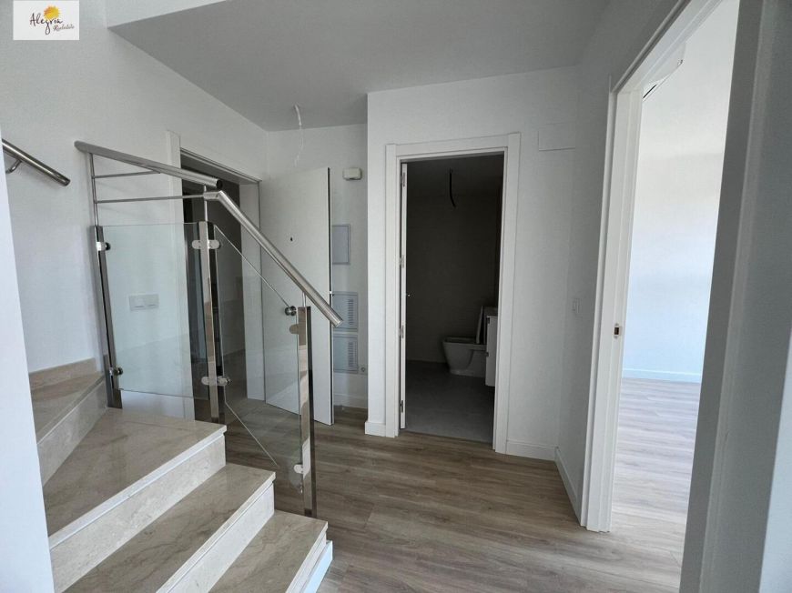 Španělsko alegria Valencia