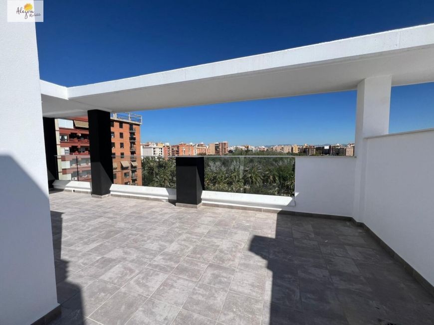 Španělsko alegria Valencia