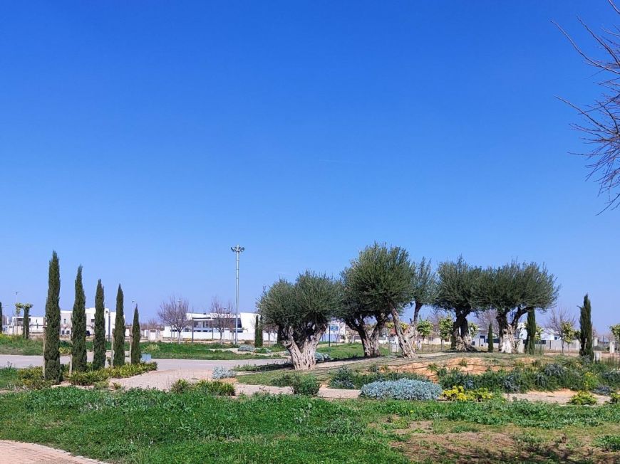 Španělsko Novostavby Torre-pacheco