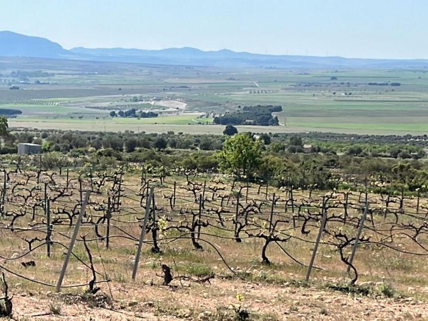 Španělsko Dům Yecla