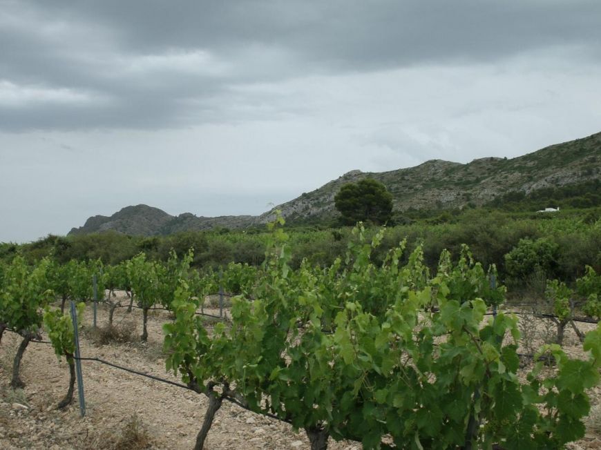 Španělsko Dům Yecla