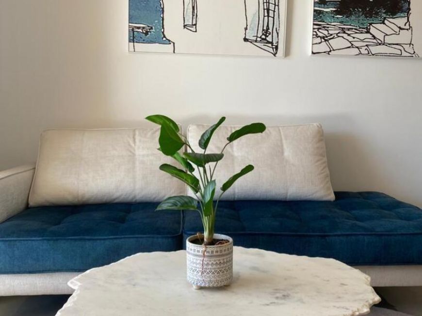 Španělsko Bungalov Pilar-de-la-horadada